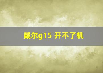 戴尔g15 开不了机